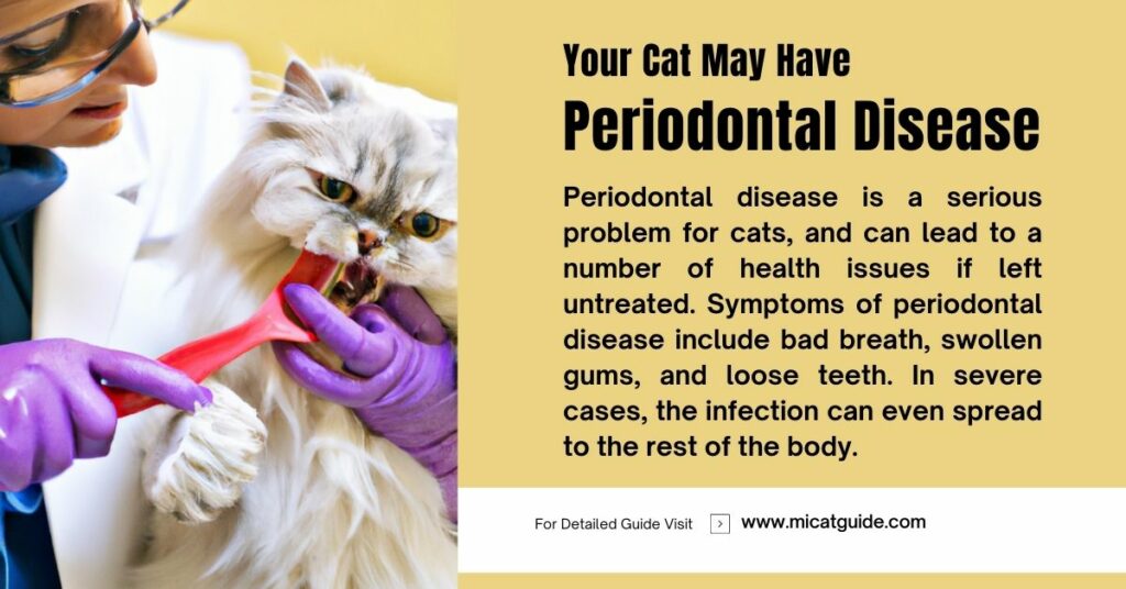 Your Cat May Have Periodontal Disease