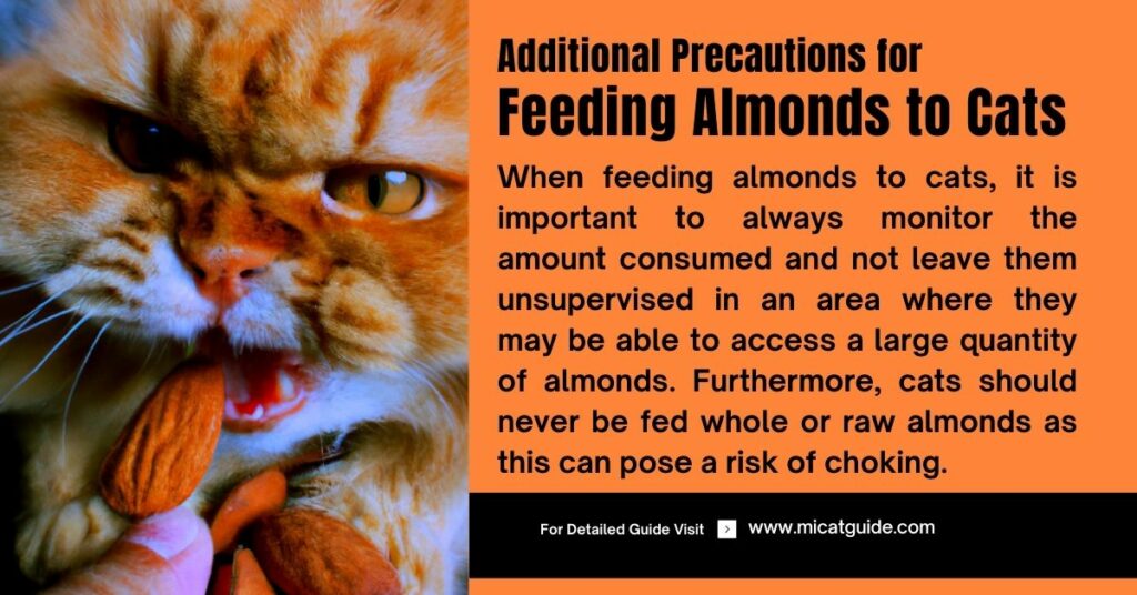 Additional Precautions for Feeding Almonds to Cats