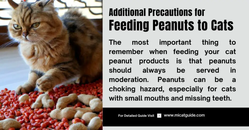 Additional Precautions for Feeding Peanuts to Cats