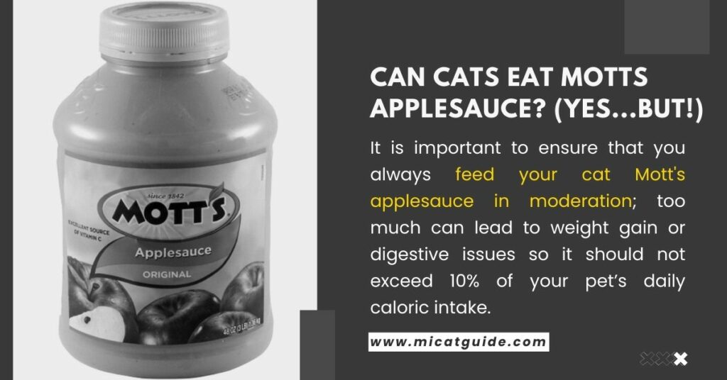 Can Cats Eat Motts Applesauce