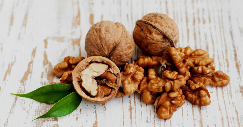 Different Types of Walnuts and Your Cat's Safety