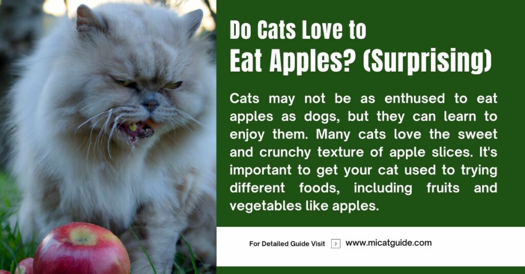 Do Cats Love to Eat Apples