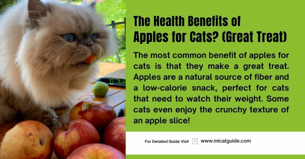 The Health Benefits of Apples for Cats