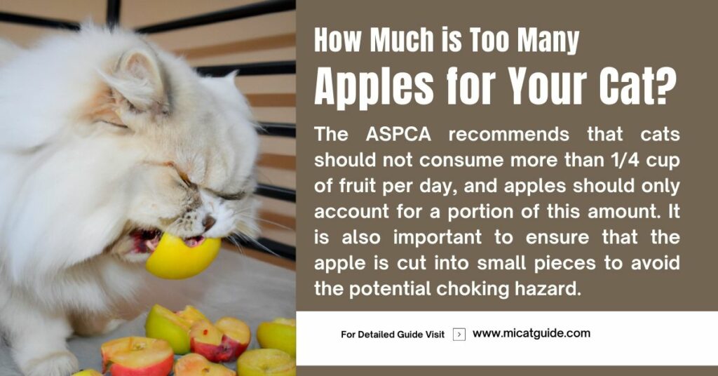 How Much is Too Many Apples for Your Cat
