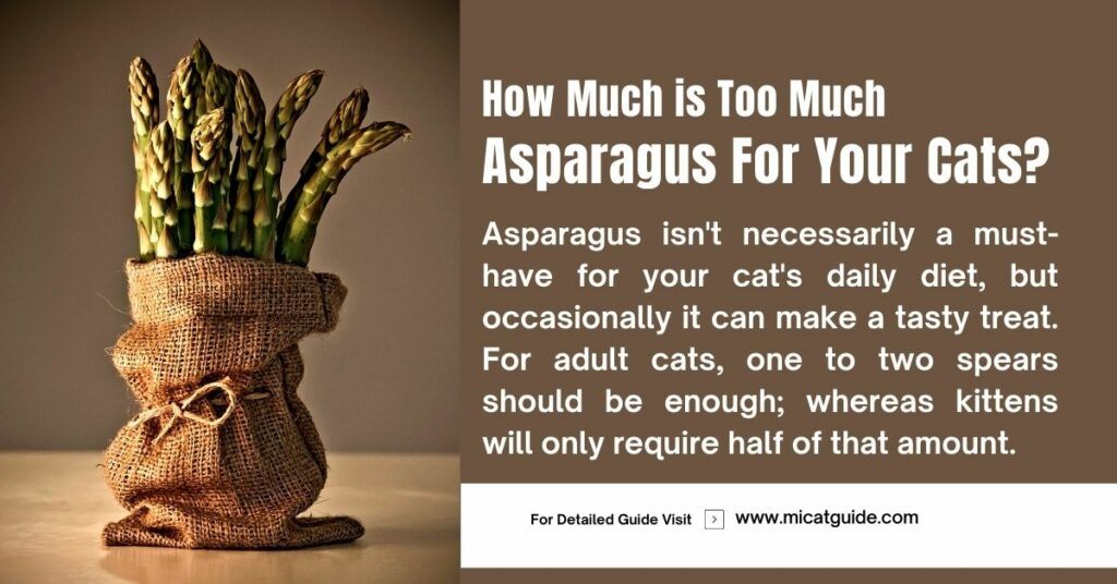 How Much is Too Much Asparagus for Cats