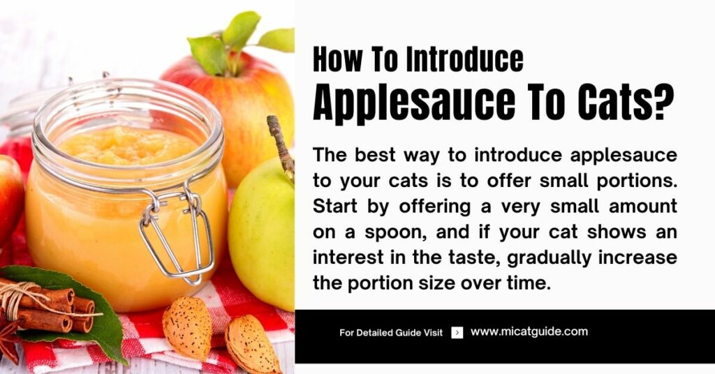 How to Introduce Applesauce to Your Cats