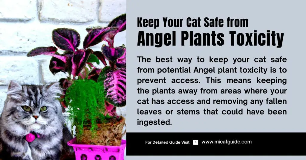 How to Keep Your Cat Safe from Angel Plant Toxicity