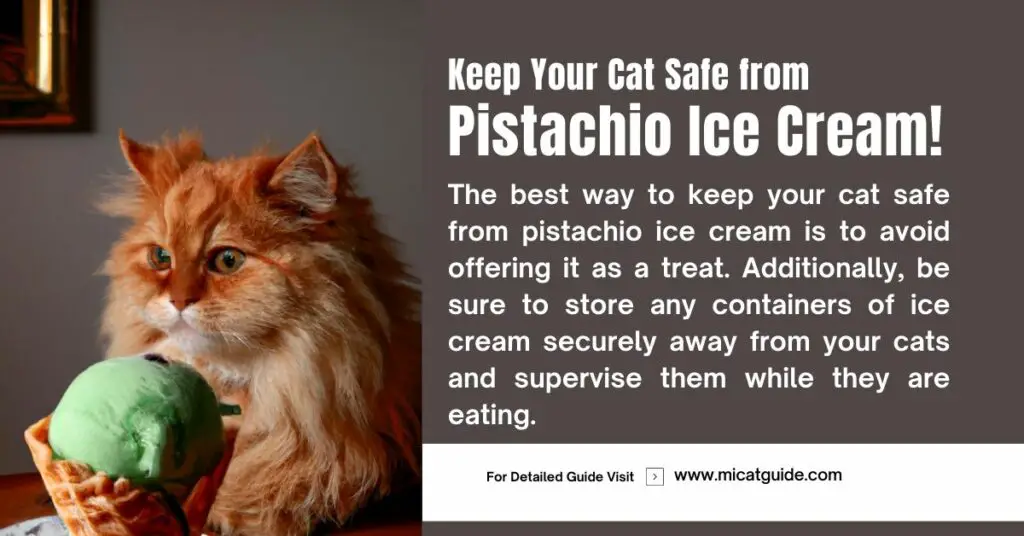 Tips to  Keep Your Cat Safe from Pistachio Ice Cream