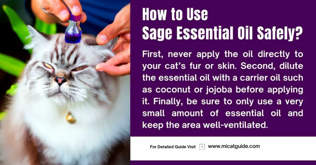 How to Use Sage Essential Oil Safely on Cats