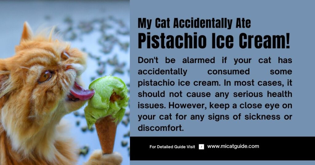 Things to Do If Your Cat Accidentally Ate Some Pistachio Ice Cream
