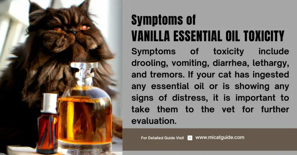 Symptoms of Vanilla Essential Oil Toxicity in Cats