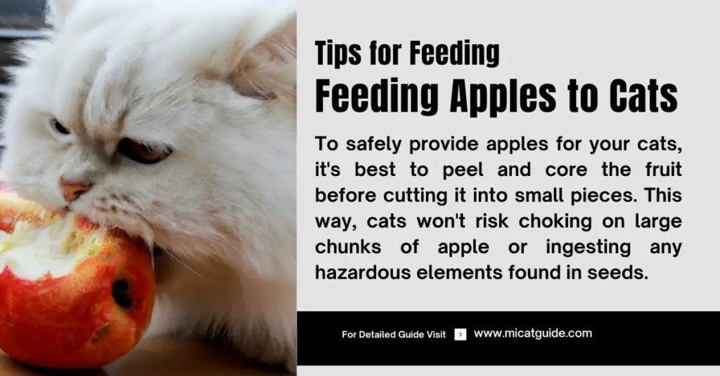 Tips for Feeding Apples to Your Cats