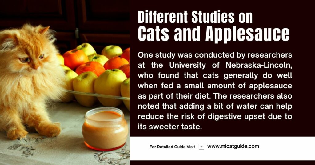 What Different Studies Say on Cats and Applesauce