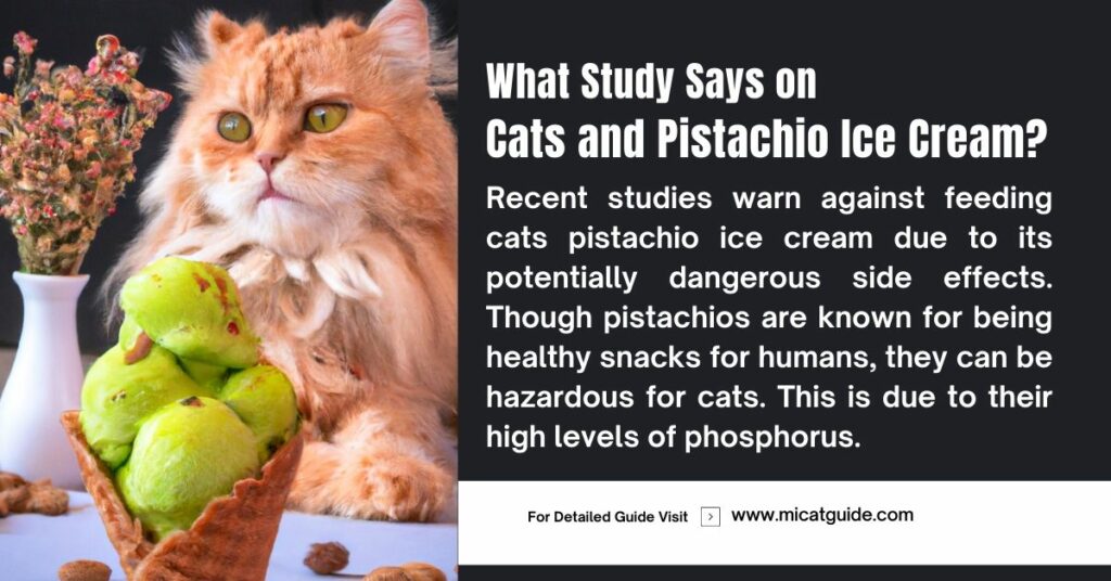 What Study Says about Cats and Pistachio Ice Cream