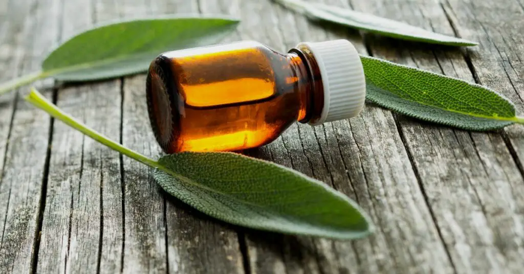 What is Sage Essential Oil