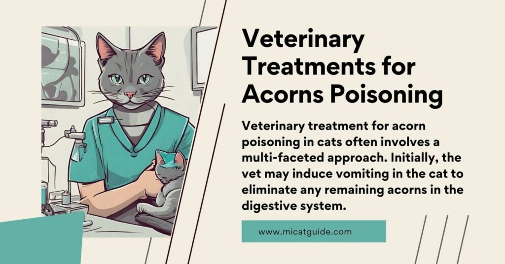 Veterinary Treatments for Acorns Poisoning