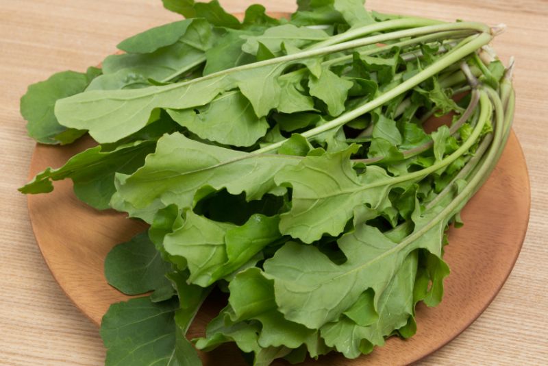 Step-by-Step Guide to Introducing Arugula to Your Cat