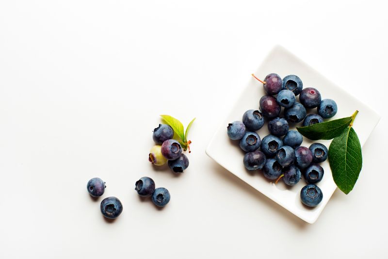 Nutritional Value of Blueberries for Cats